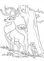 kolorowanki Bambi Disney malowanki do wydruku numer 42